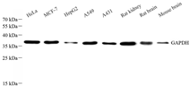 GB15002-100-4.png