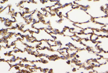 GB15003-100-6.png