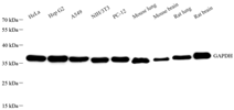 GB15004-100-2.png