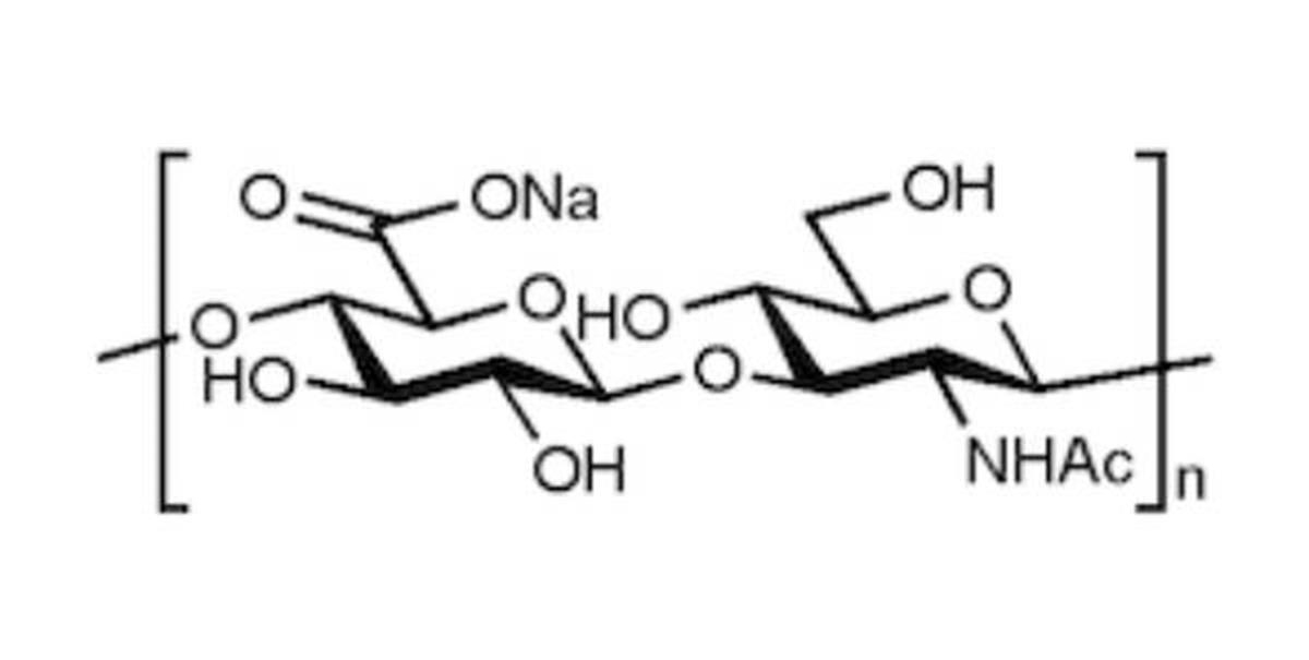 FNK-HA001005