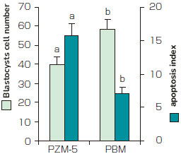 IFP_PigMediumKit_2_FNK-IFP101PEP-CK_002_Diagnocine