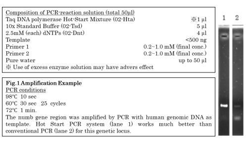 Taq DNA Polymerase Hot-Start with Standard Buffer (+ dNTPs) 
