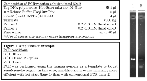 Taq DNA Polymerase Hot-Start with Robust Buffer (+ dNTPs)