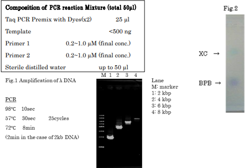 Composition of PCR reaction Mixture (total 50μl)