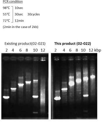 Fig.2 Amplifacation of λDNA