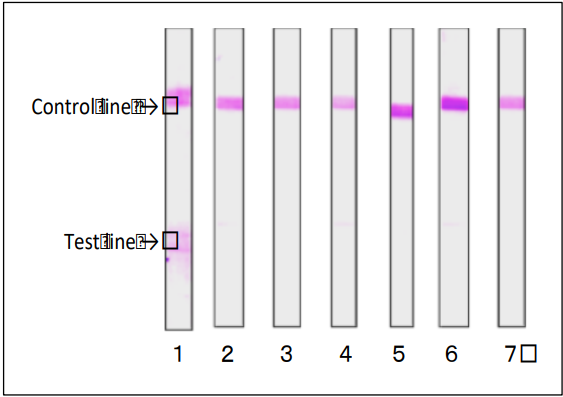 Fig 2. Reactivity of the MAb (sa-01) with various food poisoning bacteria in immunochromatographic strip test