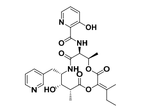 Pyridomycin (antimycobacterial, enoyl-ACP reductase inhibitor)