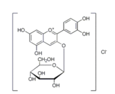 Cyanidin 3-Glucoside Chloride