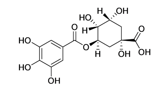 Theogallin(3-galloylquinic acid)