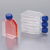 IP-TEC_Flask-25_2_200.jpg