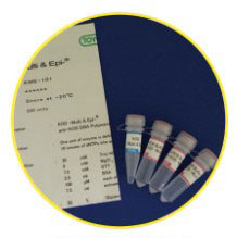 KOD Multi & Epi