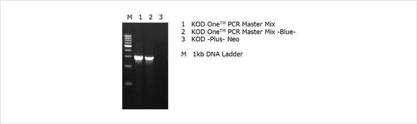 KOD One PCR Master Mix ? Example 4: Amplification using degenerate primers, containing inosine (I)