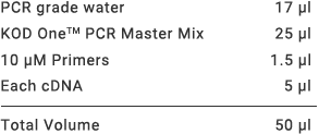 KOD One PCR Master Mix ? Example 2: Amplification from cDNA