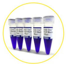 KOD One PCR Master Mix (with Dye)
