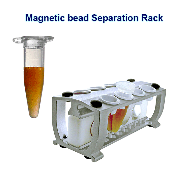 BlogImages/MTC-R0215_Magnetic-bead-Separation-Rack_Reversible_GIF_600_Diagnocine.gif