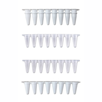 MTCLPT-PCR-1.jpg