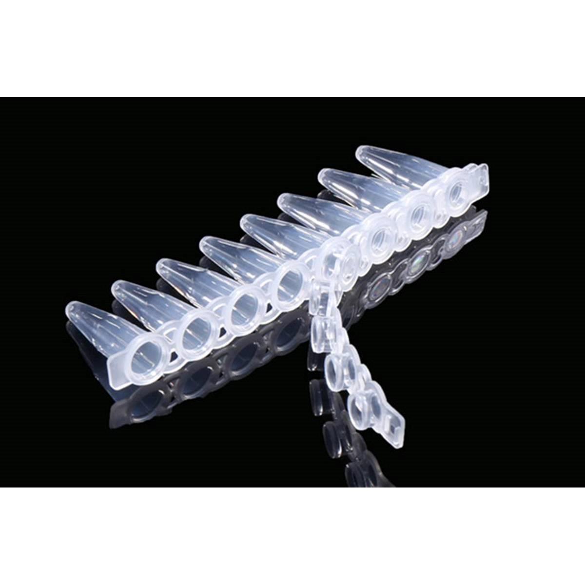 Flat 8-strip Cap-Diagnocine