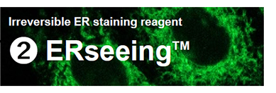 Organelle-Imaging-Dye-in-Living-Cells_03.jpg