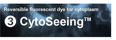 Organelle-Imaging-Dye-in-Living-Cells_04.jpg