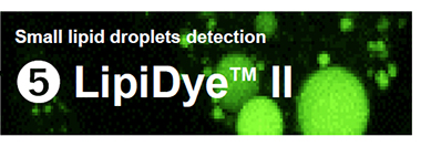 Organelle-Imaging-Dye-in-Living-Cells_06.jpg