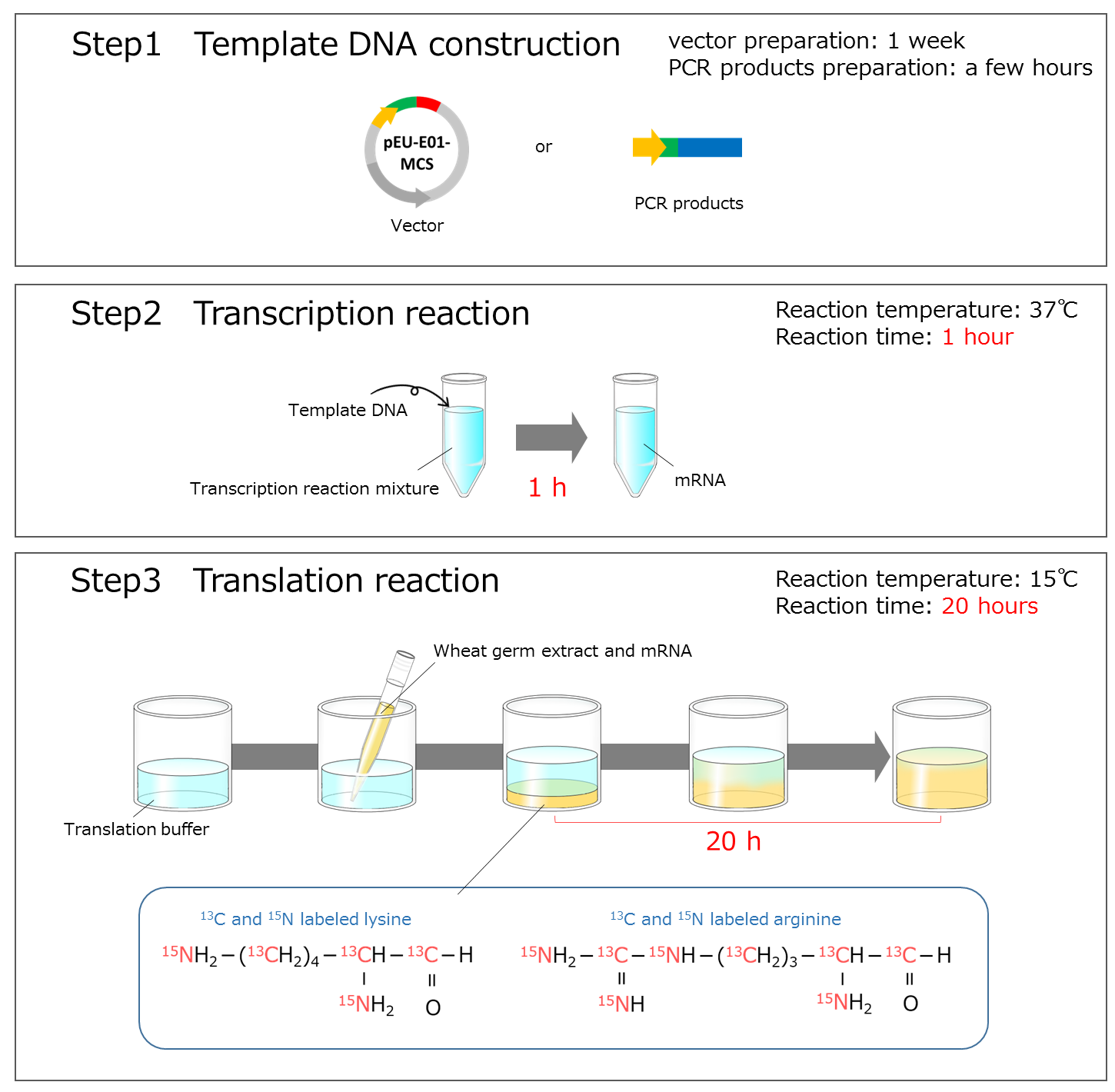 Premium_PLUS_Expression_Kit_for_MS_img2_en.png