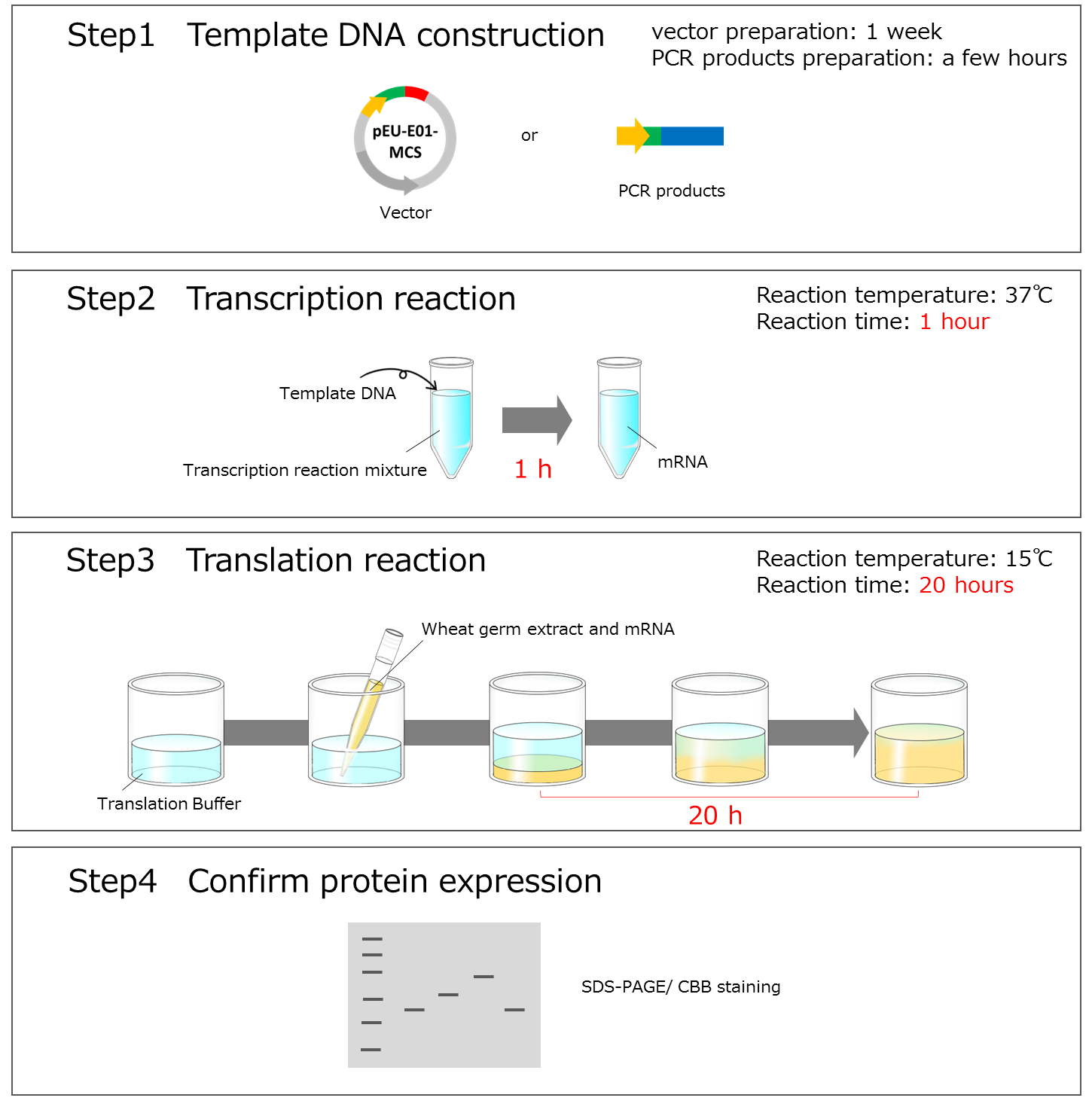 Premium_PLUS_Expression_Kit_img2_en.png