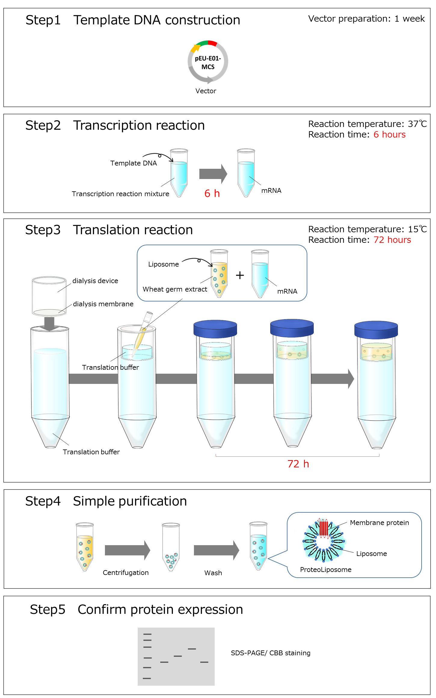 ProteoLiposome_BD_Expression_Kit_img_en.png
