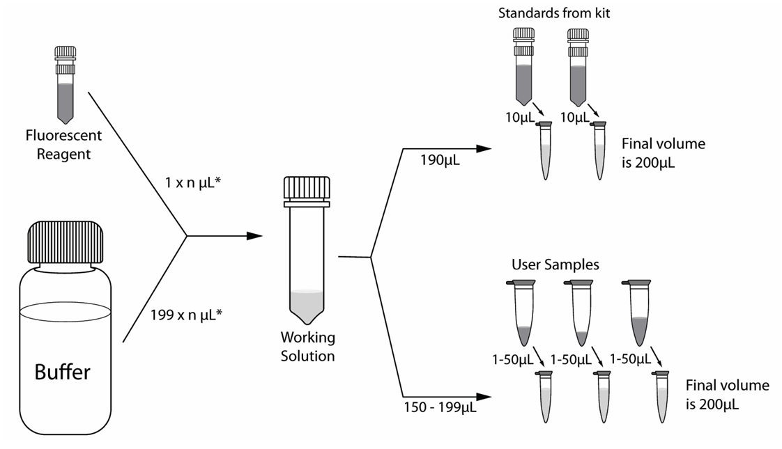 Diagram depicting the correct standards to add to tubes.