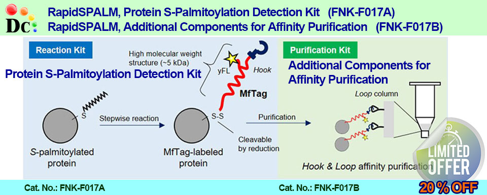 RapidSPALM_Protein-S-Palmitoylation-Detection-Kit_contect_FNK-F017A, by Diagnocine