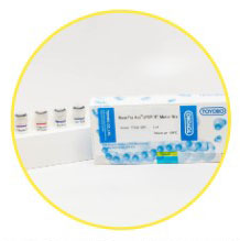 ReverTra Ace qPCR RT Master Mix