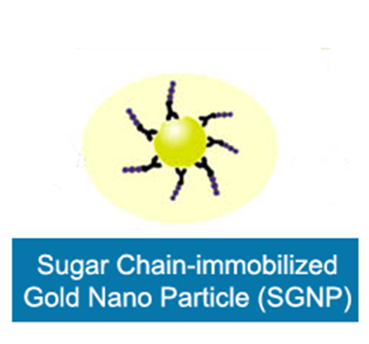 SDNP