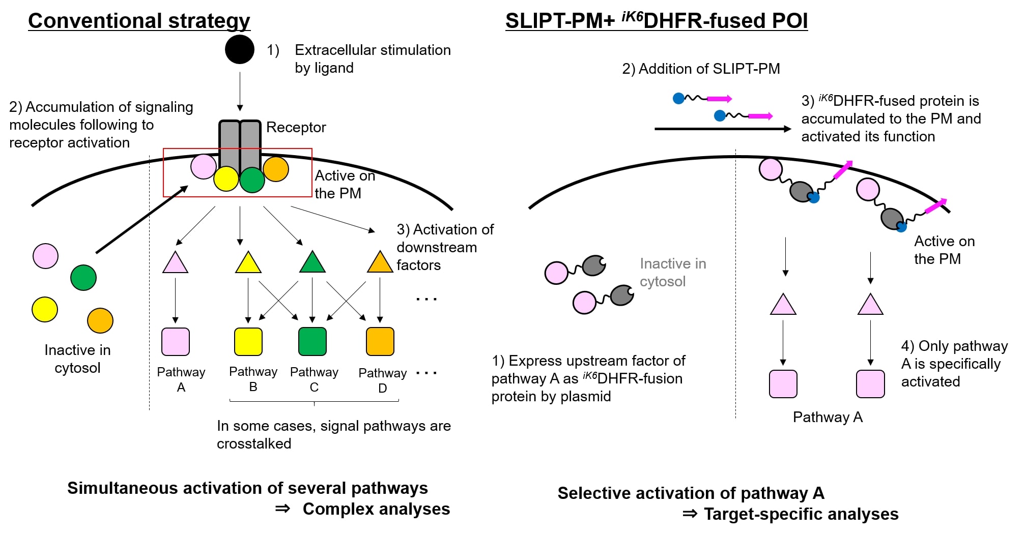 SLIPT_PM_1
