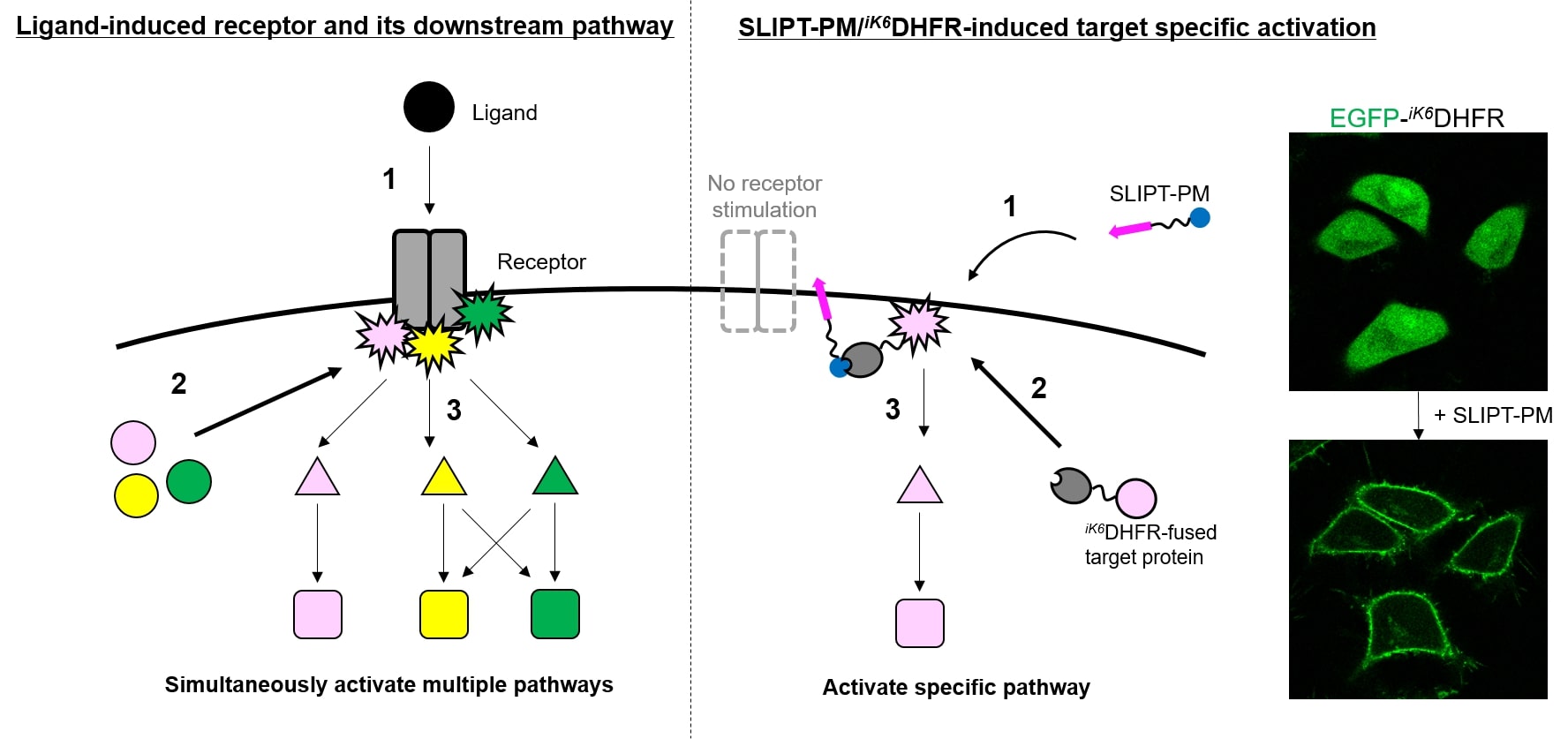 SLIPT_PM_2