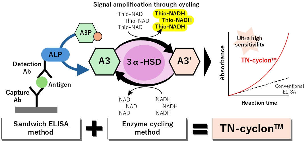Signal amplification through cycling, comparing the sandwich ELISA method to the enzyme cycling method.