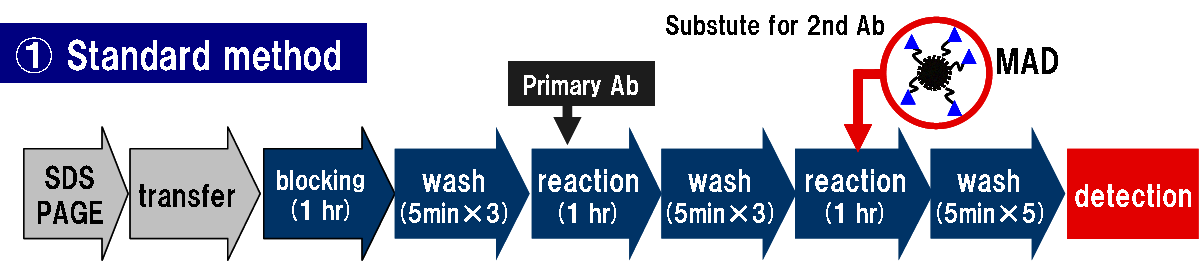 High sensitivity detection without secondary antibody
