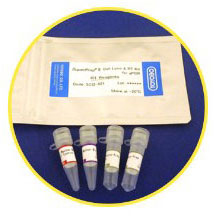 SuperPrep&reg; II Cell Lysis & RT Kit for qPCR