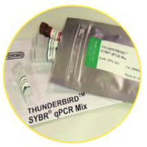THUNDERBIRD Probe qPCR Master Mix