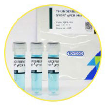 THUNDERBIRD Next SYBR qPCR Mix