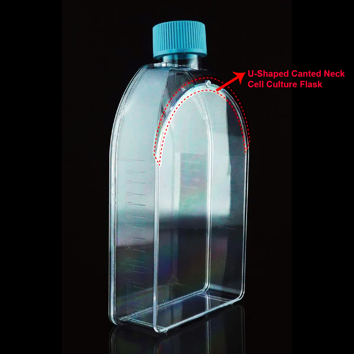 U-Shaped-Canted-Neck-Cell-Culture-Flask
