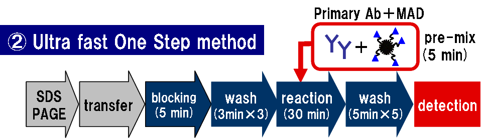 High sensitivity One-Step detection method