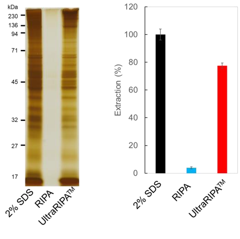 Comparison of UltraRIPA buffer vs other industry alternatives.