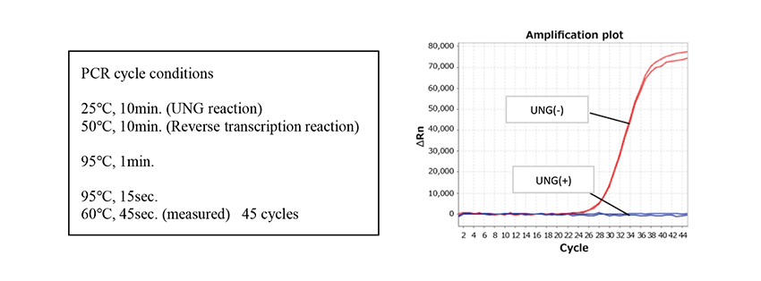 Carry-over contamination prevention: first-PCR product degraded by UNG, no amplification in the second PCR