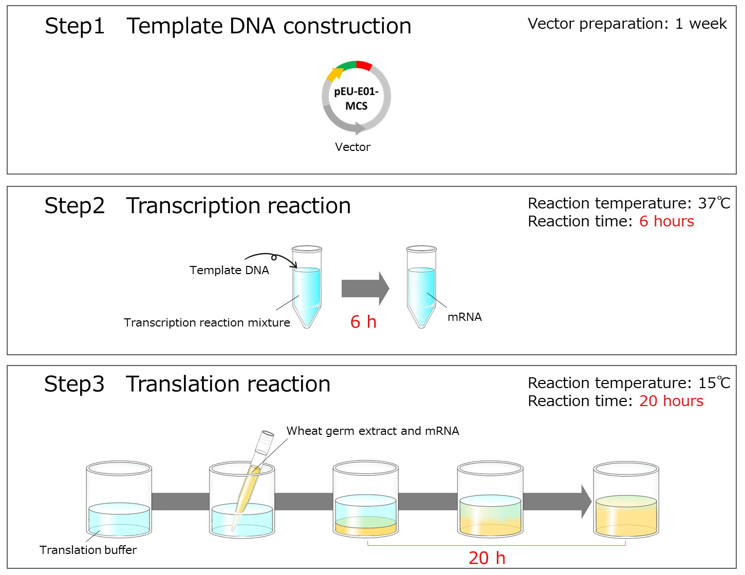 Disulfide_Bond_Enhancer_Enzyme_Set_img_2_en.pngWEPRO7240_Expression_Kit_img_en.png