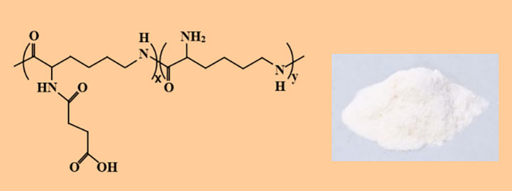 carboxylated-poly-L-lysine_CPLL