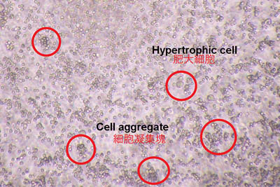 filtration_01-1.jpg