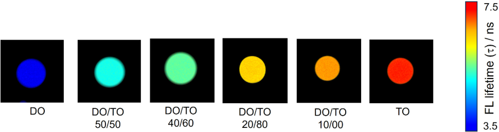 Changes in fluorescence