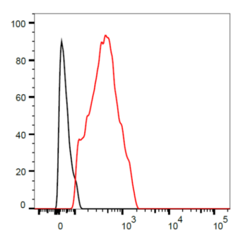 hGPR87-Stable Cell Primary Antibody C0812 Black: 0ug/mL, Red: 1ug/mL Secondary Antibody PE labeled anti mouse IgG (x200)