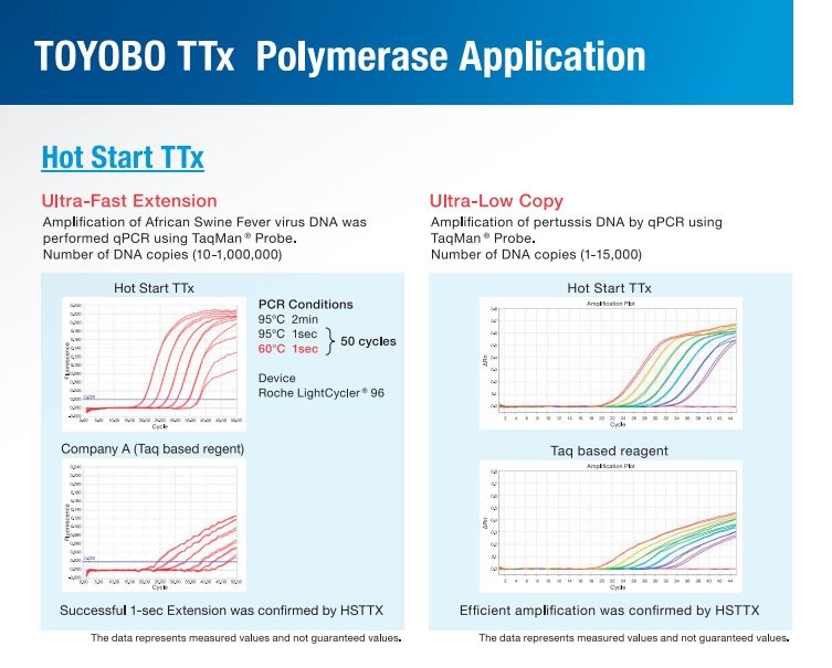 Hot Start TTx DNA Polymerase figure