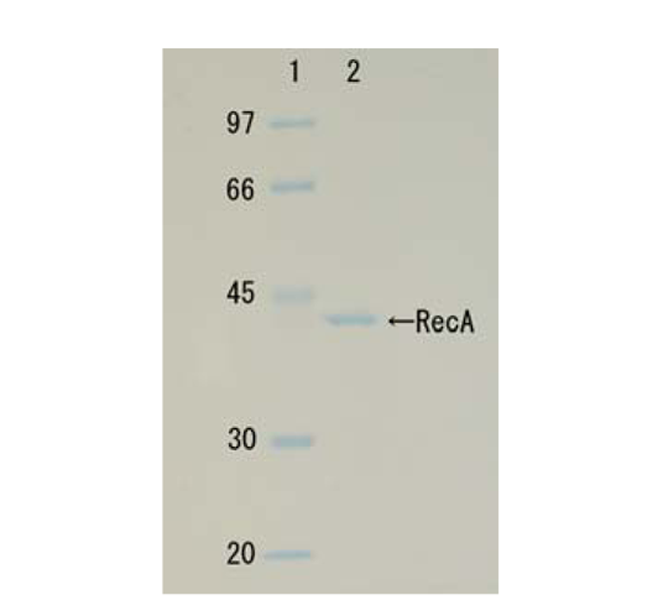 01-001_fig1.png