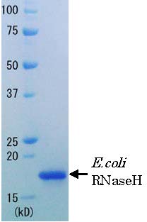 02-060_fig1.jpg